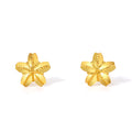 "Infinite" 24K Gold Earrings Star 0.81-1.11g A0910862